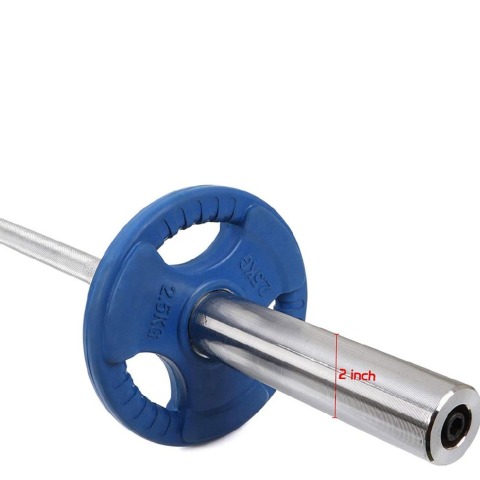 Fitsy Olympic Weight Plates for Gym (Pair), Blue 2.5 kg