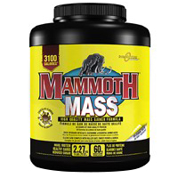 Mammoth Nutrition Mass,  5 lb  Chocolate 