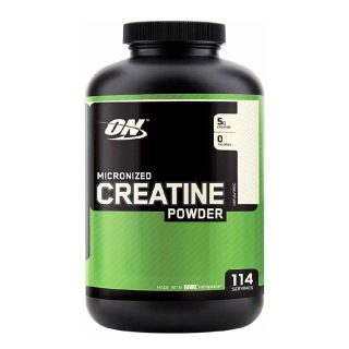 ON (Optimum Nutrition) Micronized Creatine Powder, Unflavoured 1.3 Lb