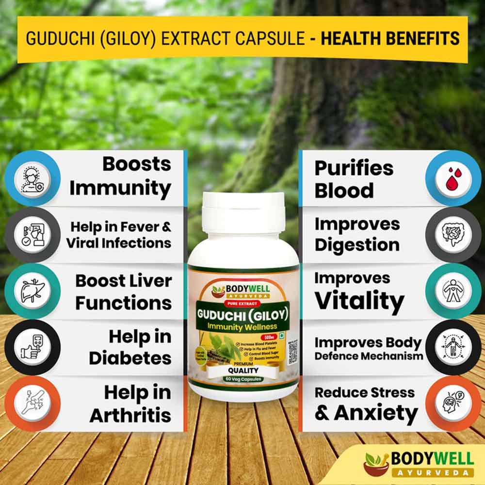 1 - Bodywell Guduchi (Giloy) Pure Extract 500 mg,  120 veggie capsule(s) 