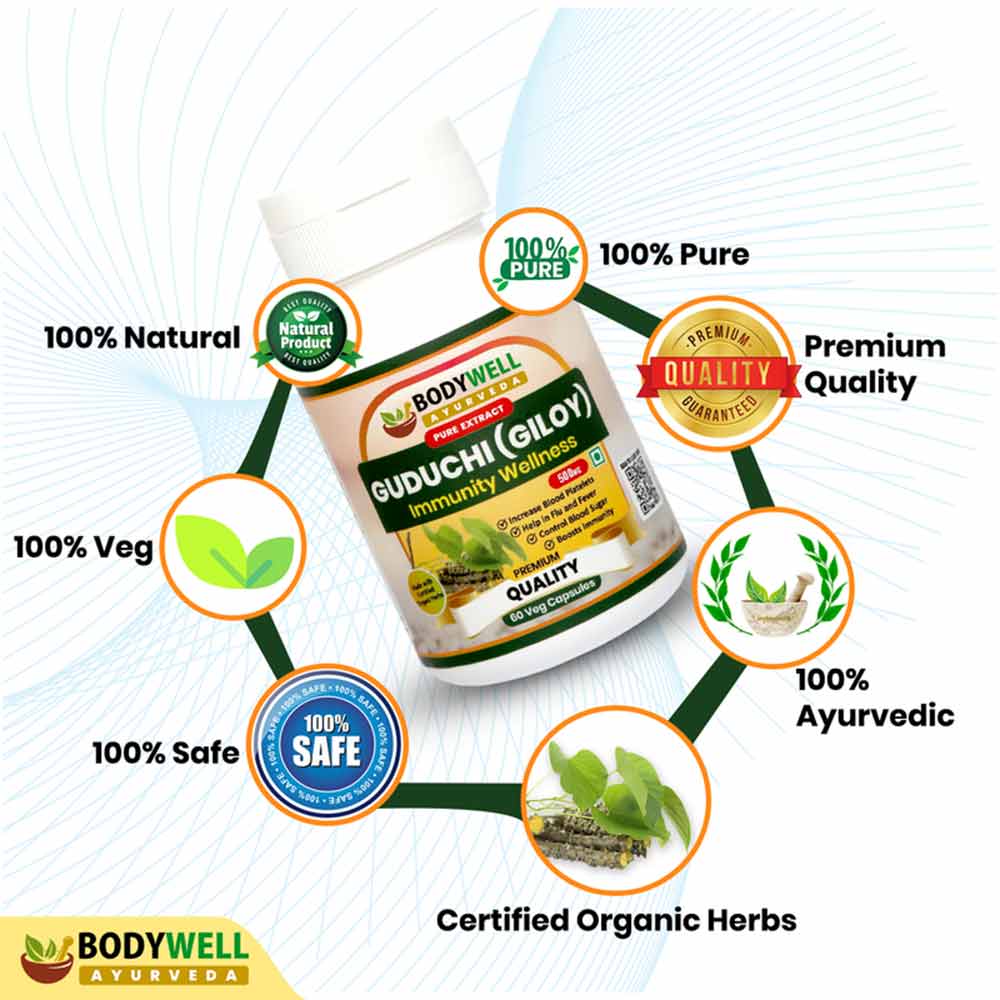 4 - Bodywell Guduchi (Giloy) Pure Extract 500 mg,  120 veggie capsule(s) 