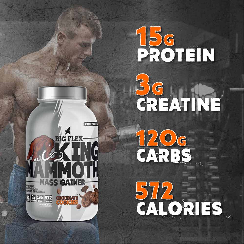 5 - Big Flex King Mammoth Mass Gainer,  2.2 lb  Chocolate Cookies 