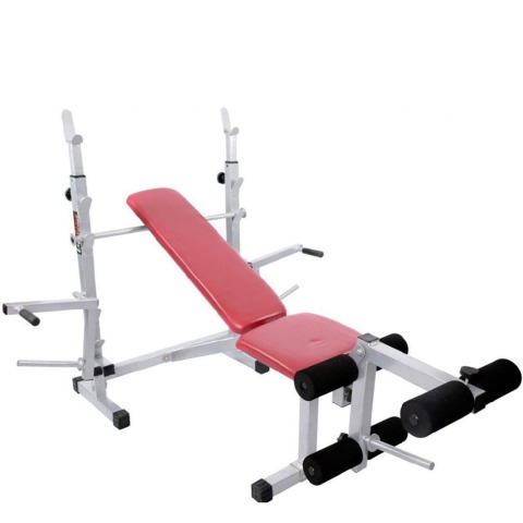 Lifeline 309 Multi Bench