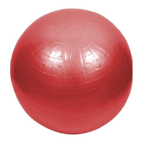 Lifeline Gym Ball for Healthy Life,  Red  65 cm 