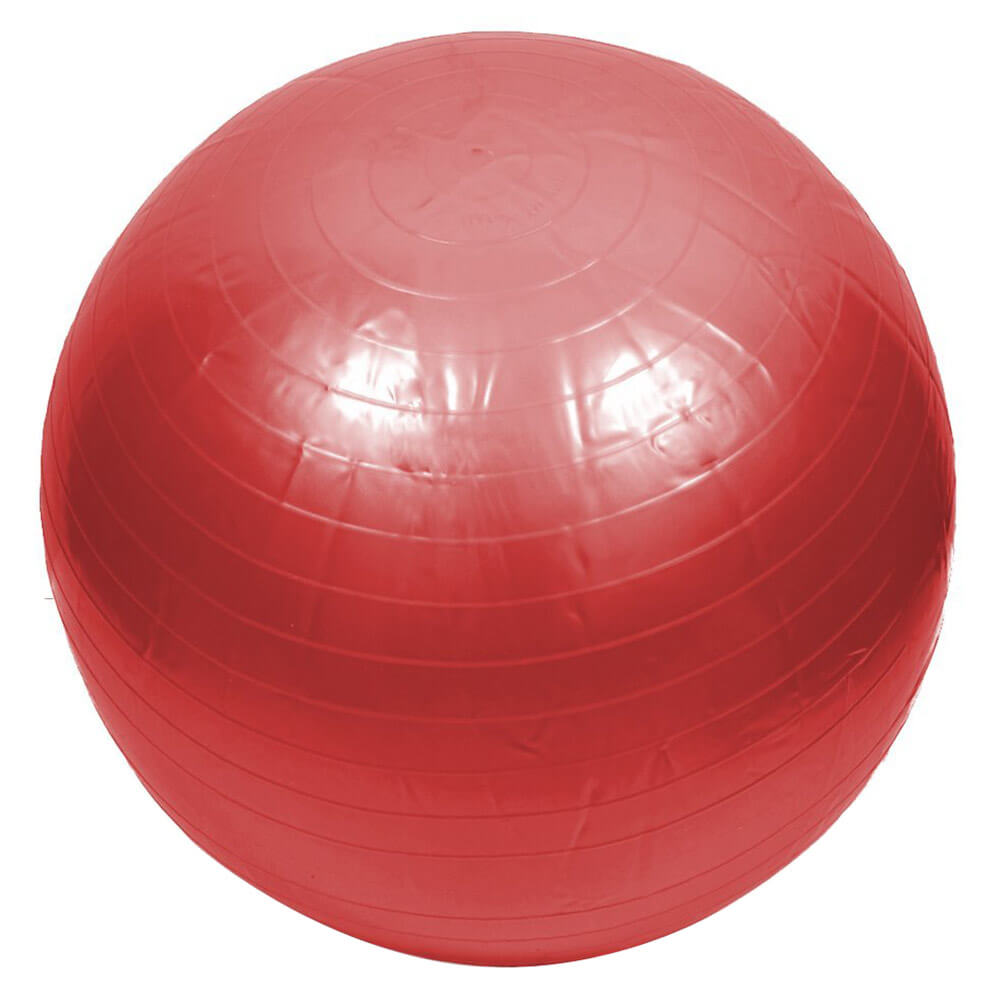 Lifeline Gym Ball for Healthy Life,  Red  65 cm 