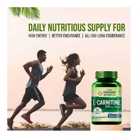 2000mg l carnitine a day L-Carnitine