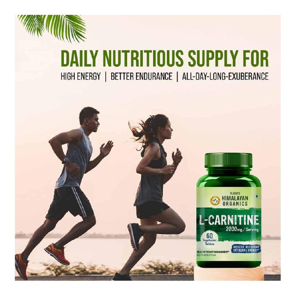 l carnitine use timing Basix L-Carnitine 3500 Liquid & Green Tea – Extreme Nutritions