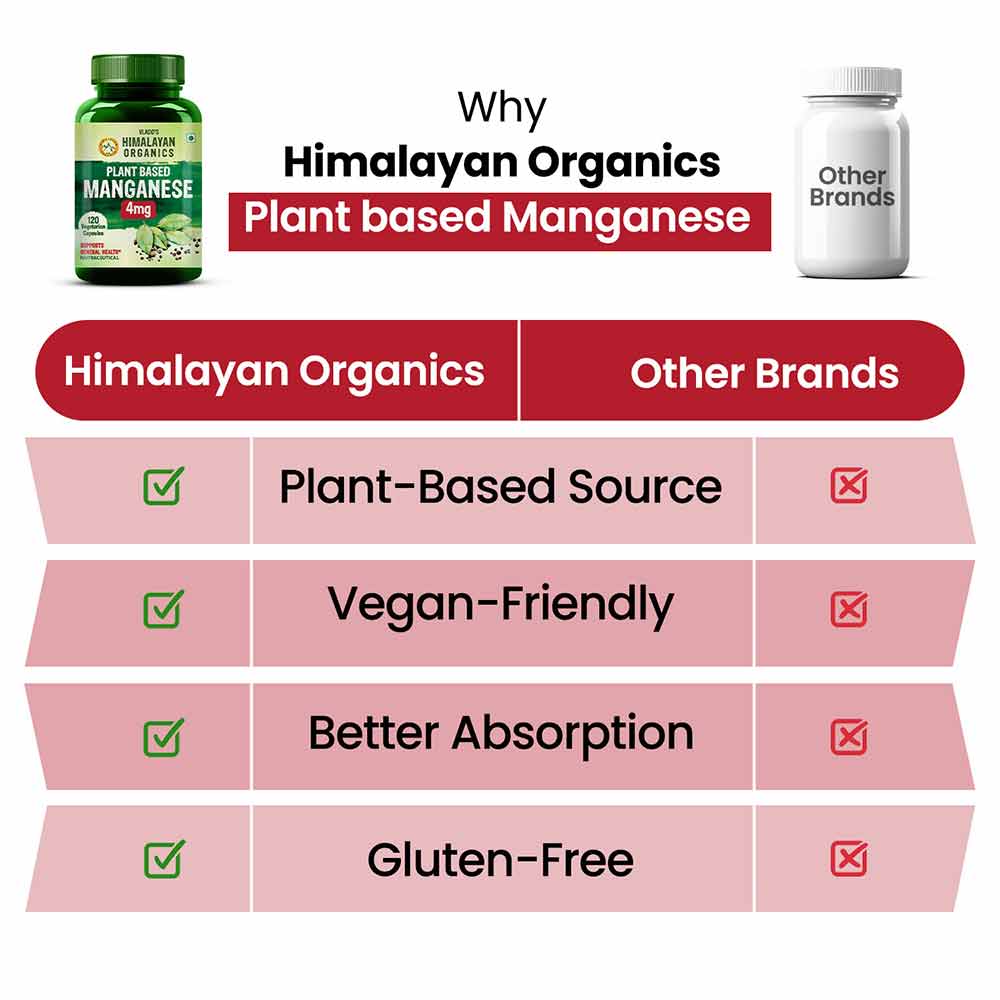 6 - Himalayan Organics Plant Based Manganese,  120 veggie capsule(s) 