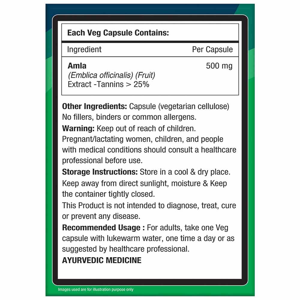 6 - NourishVitals Amla Vitamin C,  60 veggie capsule(s)  Unflavoured 