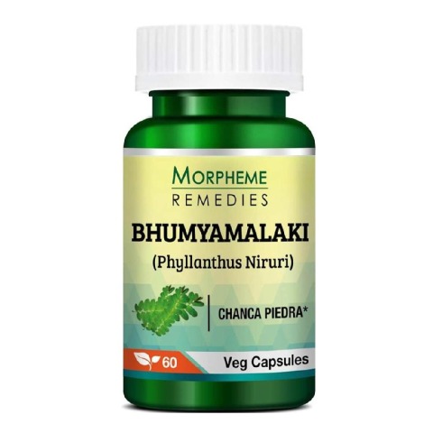 1 - Morpheme Remedies Phyllanthus Niruri (500 mg),  60 veggie capsule(s) 