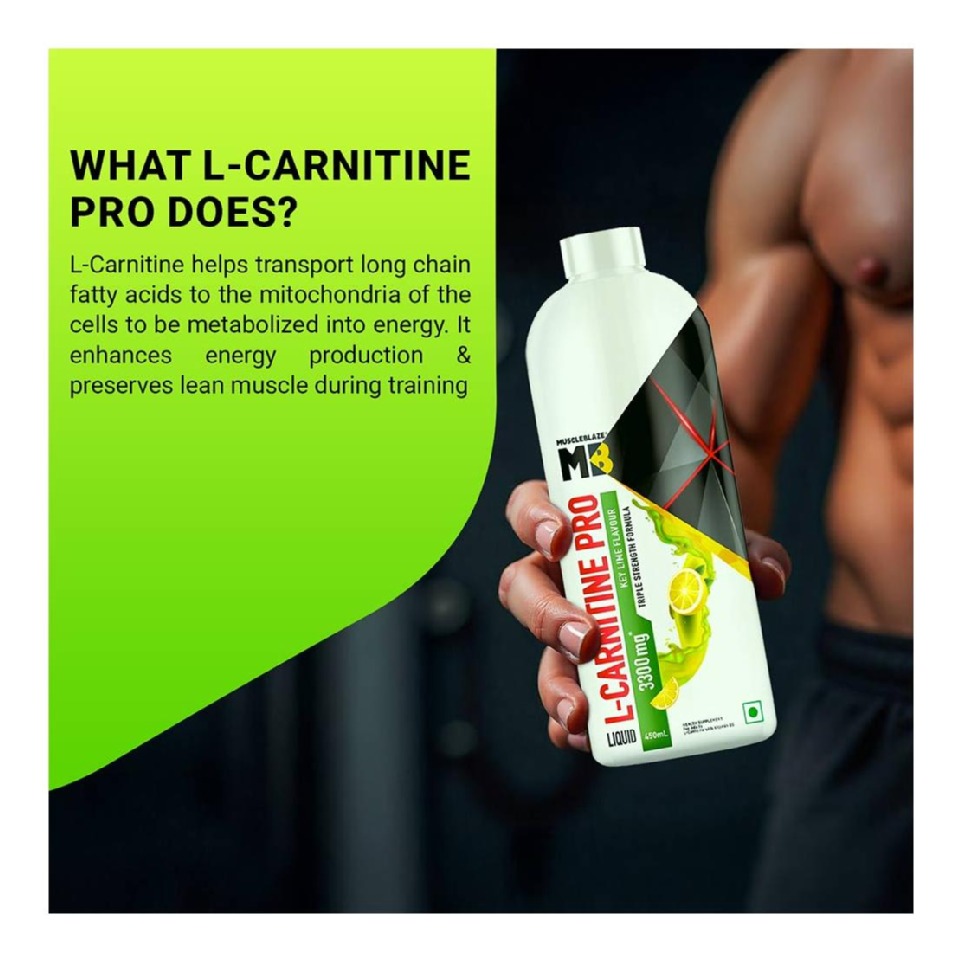 l carnitine in bodybuilding Nutrition Store Sport-Max