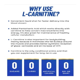 l carnitine for migraine Liquid L-Carnitine 3000: Metabolism & Energy Support  Cutler Nutrition