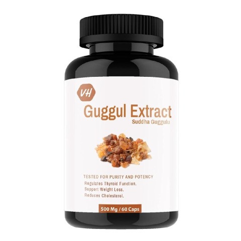 1 - Vitaminhaat Guggul Extract Suddha Guggulu,  60 capsules 
