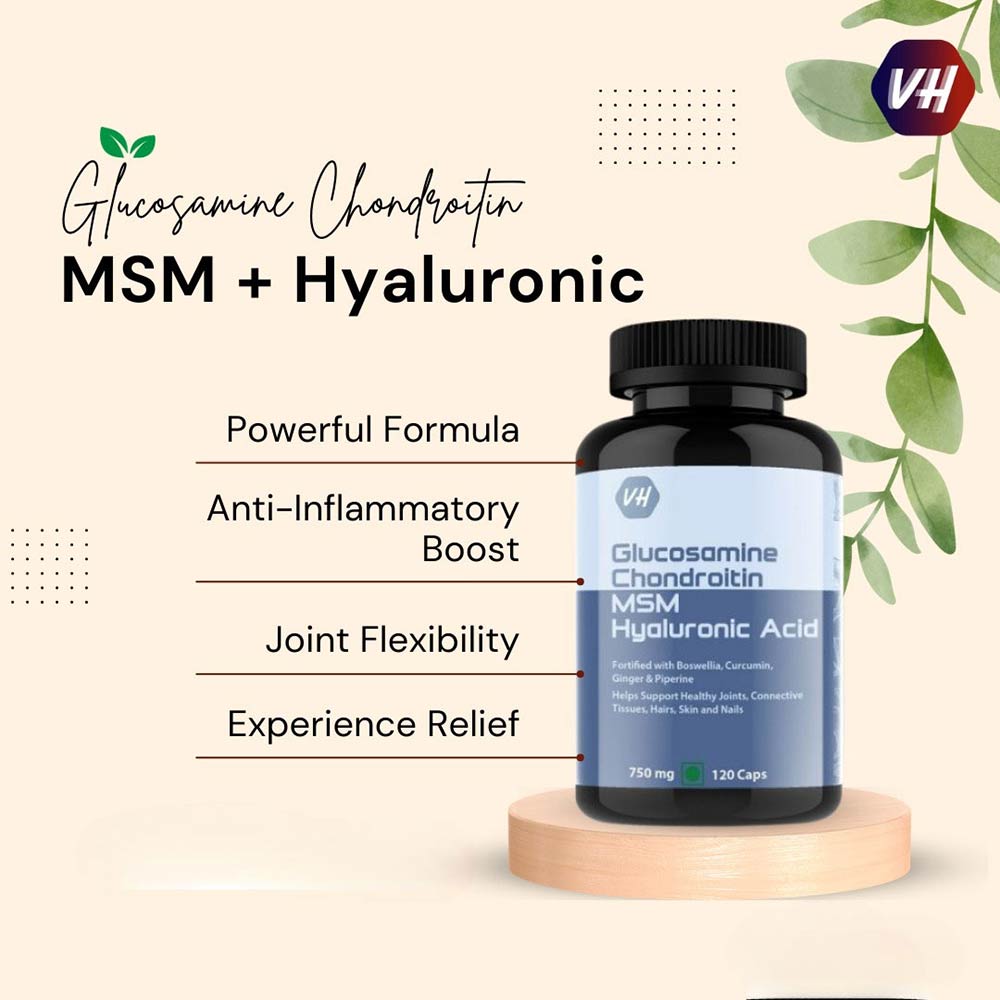 2 - Vitaminhaat Glucosamine Chondroitin MSM Hyaluronic Acid,  120 capsules 