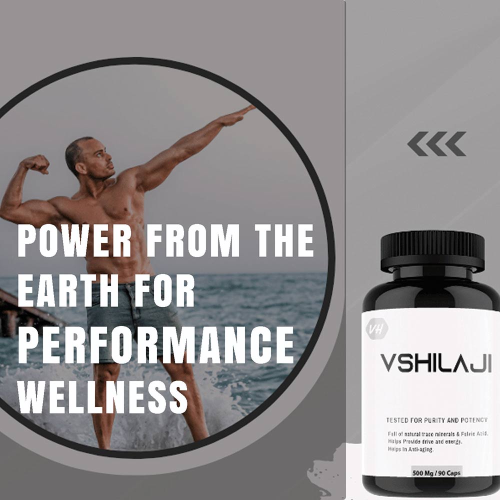 4 - Vitaminhaat Shilajit,  90 capsules 