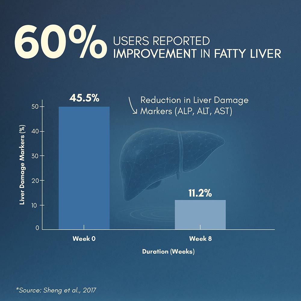 3 - Rasayanam Liver Detox,  60 tablet(s) 