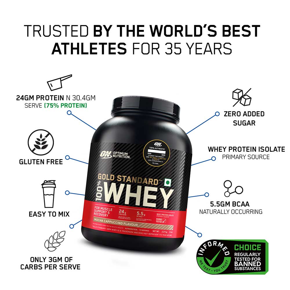 2 - ON (Optimum Nutrition) Gold Standard 100% Whey Protein,  5 lb  Mocha Cappuccino 