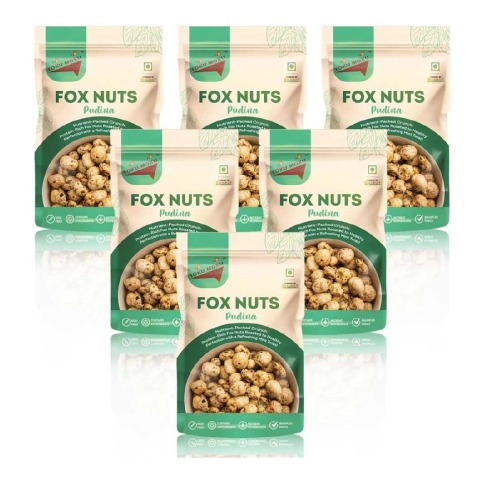 1 - TOKU MOKU Roasted Makhana, Pudina (Pack of 6) 55 g