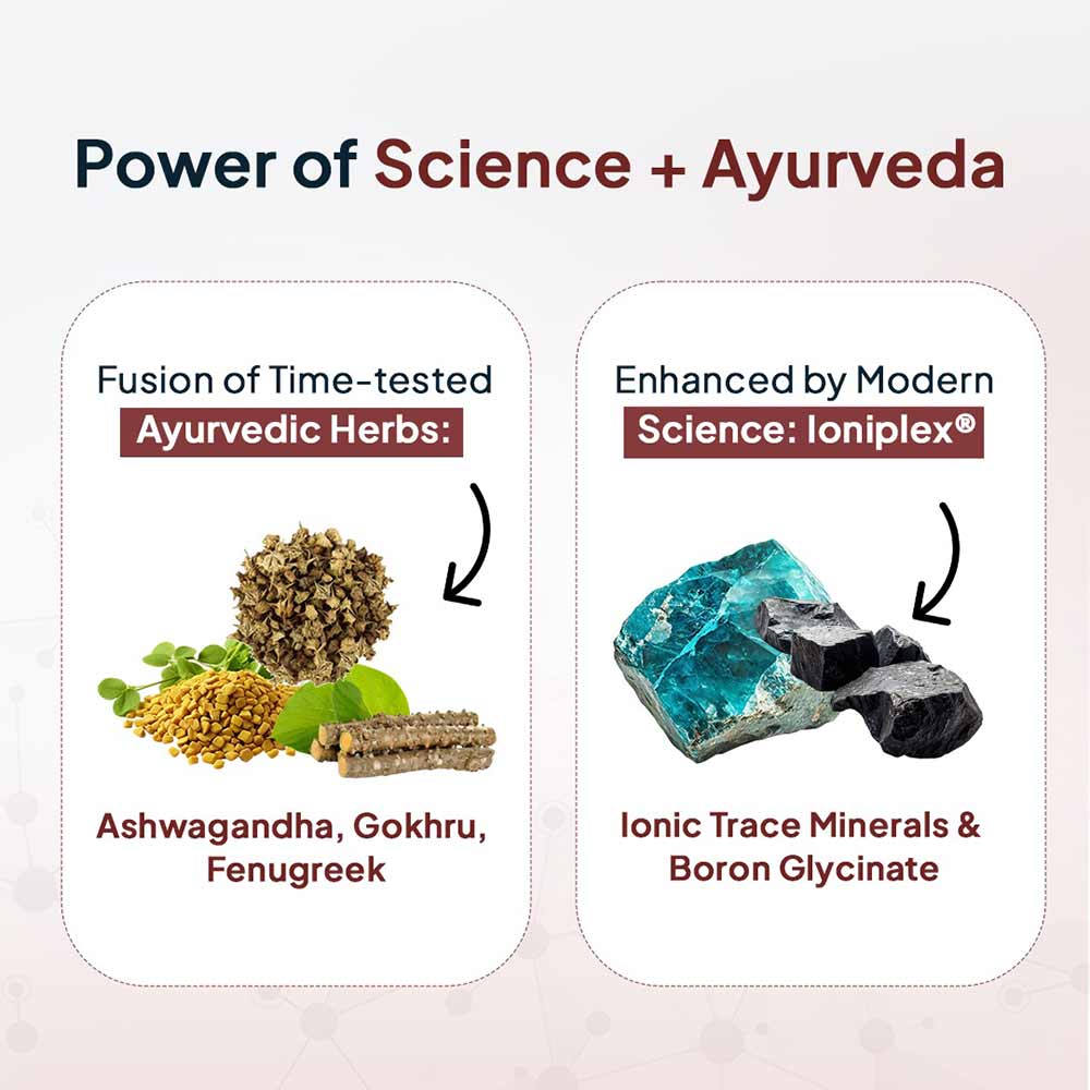 13 - Miduty TestoUP 5X,  60 capsules 