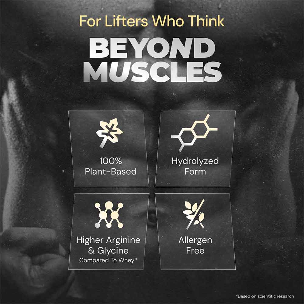 4 - Nutrabay Gold Pea Protein,  1.1 lb  French Vanilla 