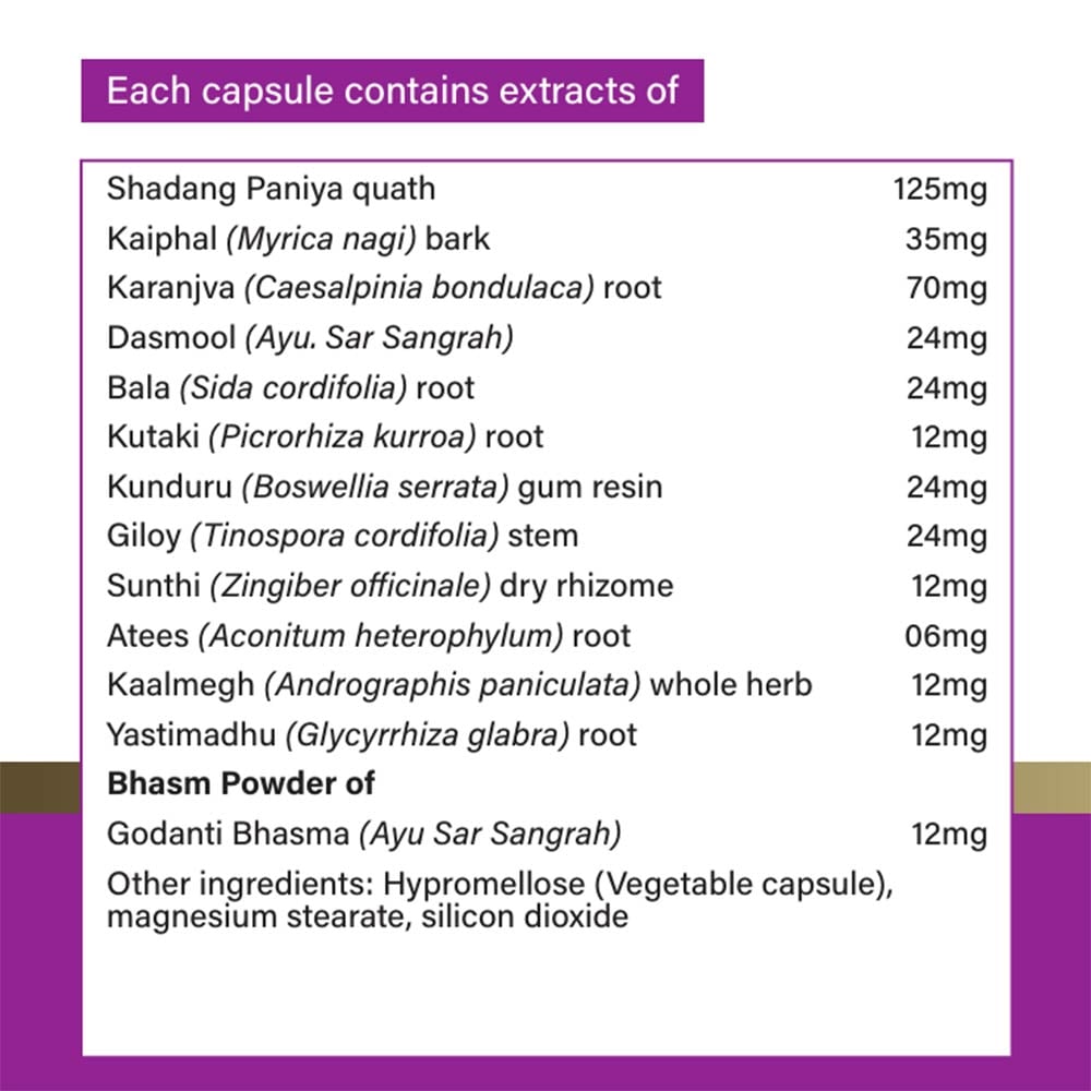 4 - BIOSAP Pygesic,  60 veggie capsule(s) 