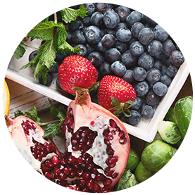 Biotin, Iron and Zinc