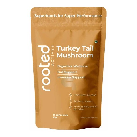 1 - Rooted Active Naturals Turkey Tail Organic Mushroom Extract, 60 g