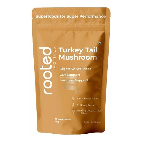1 - Rooted Active Naturals Turkey Tail Mushroom Extract Powder,  60 g 