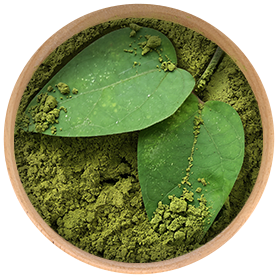 Gudmar extract