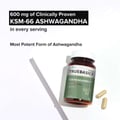 4 - TrueBasics Ashwagandha,  60 capsules 