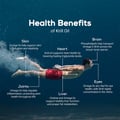 5 - TrueBasics Heart Omega-3 Antarctic Krill Oil, 30 capsules
