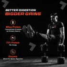 5 - Fuel One Whey Max,  2.2 lb  Cafe Mocha