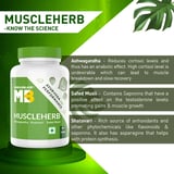 https://img8.hkrtcdn.com/13505/prd_1350457-MuscleBlaze-Ayurveda-for-Performance-MuscleHerb-with-Ashwagandha-Shatavari-Safed-Musli-30-tablets-Unflavoured_o.jpg