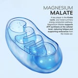 https://img8.hkrtcdn.com/44972/prd_4497117-MuscleBlaze-Magnesium-Glycinate-Unflavoured-60-tablets_o.jpg
