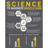 https://img8.hkrtcdn.com/45855/prd_4585427-MuscleBlaze-Biozyme-Performance-Whey-2.201-lb-Magical-Mango_o.jpg