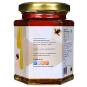 back - Nutriwish Honey,  350 g  Cinnamon 