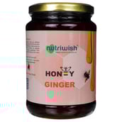 1 - Nutriwish Honey,  1000 g  Ginger 