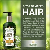 Banner - Himalayan Organics Moroccan Argan Shampoo, 300 ml Promotes Hair Thickness & Volume Restore Shine & Softness