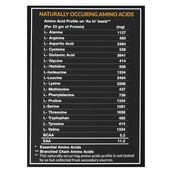 Supplement1 - MyFitFuel MFF Whey Protein 80,  1.1 lb  Café Mocha 