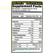 supplement - VX Nutrition Lean Mass Gainer,  6 lb  Chocolate 