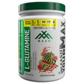 Maxn L Glutamine,  0.66 lb  Watermelon 