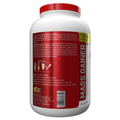 description - Maxn Mass Gainer,  3.3 lb  Chocolate Mint 