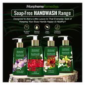 Benefits - Morpheme Remedies Hand Wash, White Tea & Ginger 250 ml Anti Bacterial