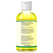 2 - INLIFE Hand Wash, Lemon 500 ml 99.9% Germs Protection (Pack of 2)
