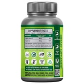 supplementinfo - Nutrainix Iron with Vitamin C,  90 capsules  Natural 