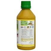 nutritioninfo - SKSB Garlic Lemon Ginger Karela Syrup without Honey (GLG5), 225 ml