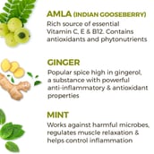 benfits - Akiva Vitamin C Amla Honey Ginger Pack of 15,  Natural  40 ml 