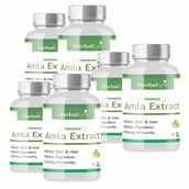 2 - Herballyfe Amla Extract 800mg (Pack of 6), 30 capsules