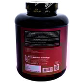 description - SNT Super Size Gainer,  5.5 lb  Chocolate 