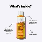 ingredients - Wellbeing Nutrition USDA Organic Apple Cider Vinegar with 2X Mother  Raw Unfiltered,  0.5 L  Amla Turmeric Cinnamon & Black Pepper 